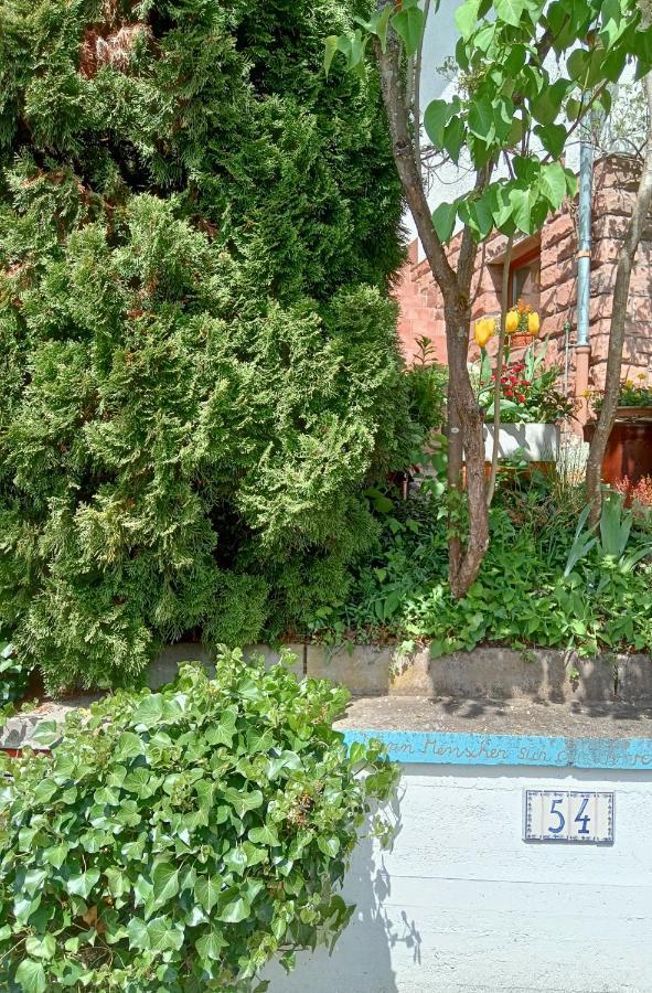 에베르바흐 Casa La Collina Delle Ginestre 아파트 외부 사진