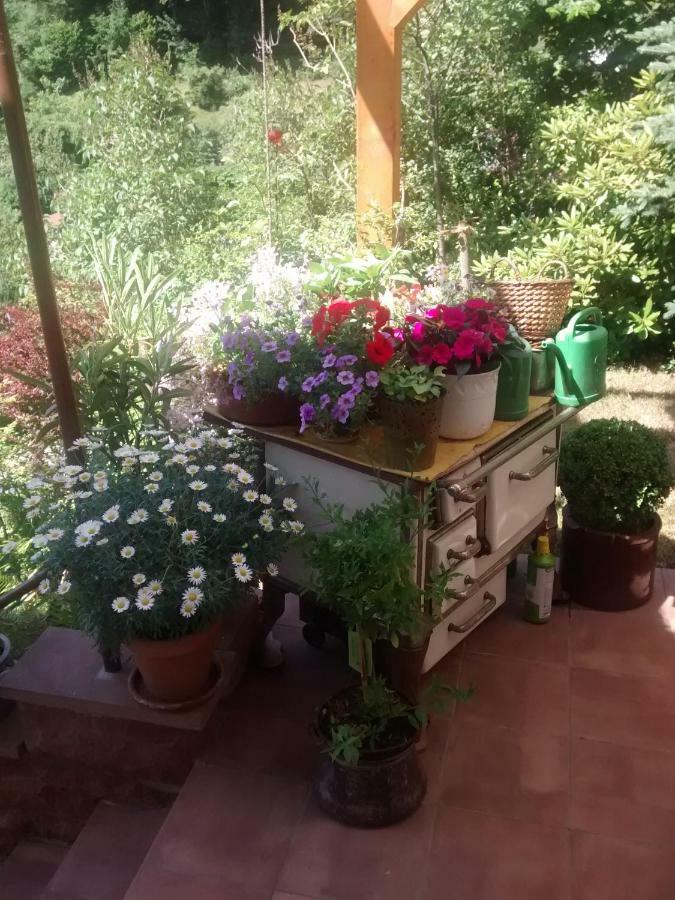 에베르바흐 Casa La Collina Delle Ginestre 아파트 외부 사진