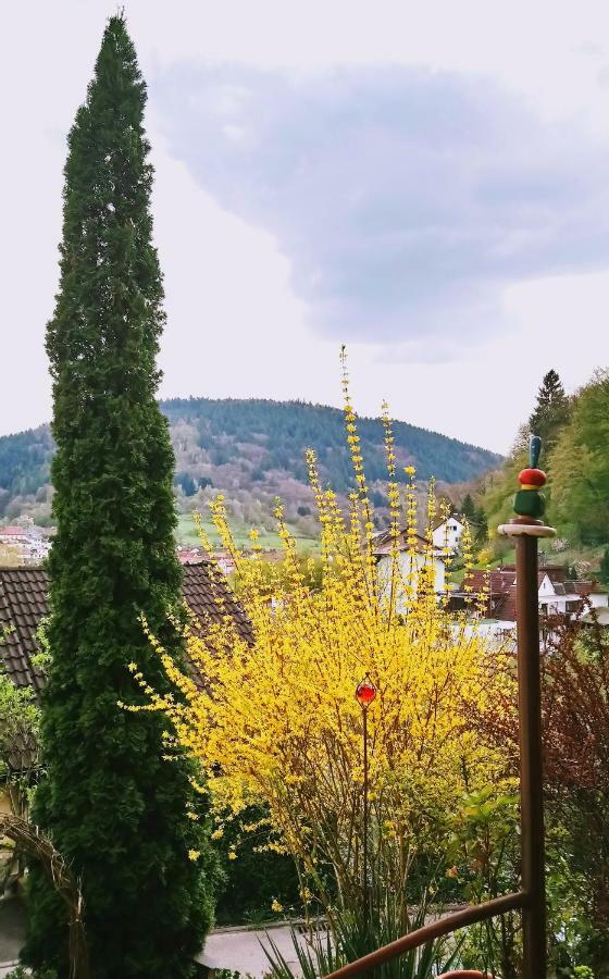 에베르바흐 Casa La Collina Delle Ginestre 아파트 외부 사진